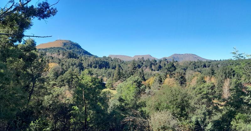 0 Bedroom Property for Sale in Hogsback Eastern Cape
